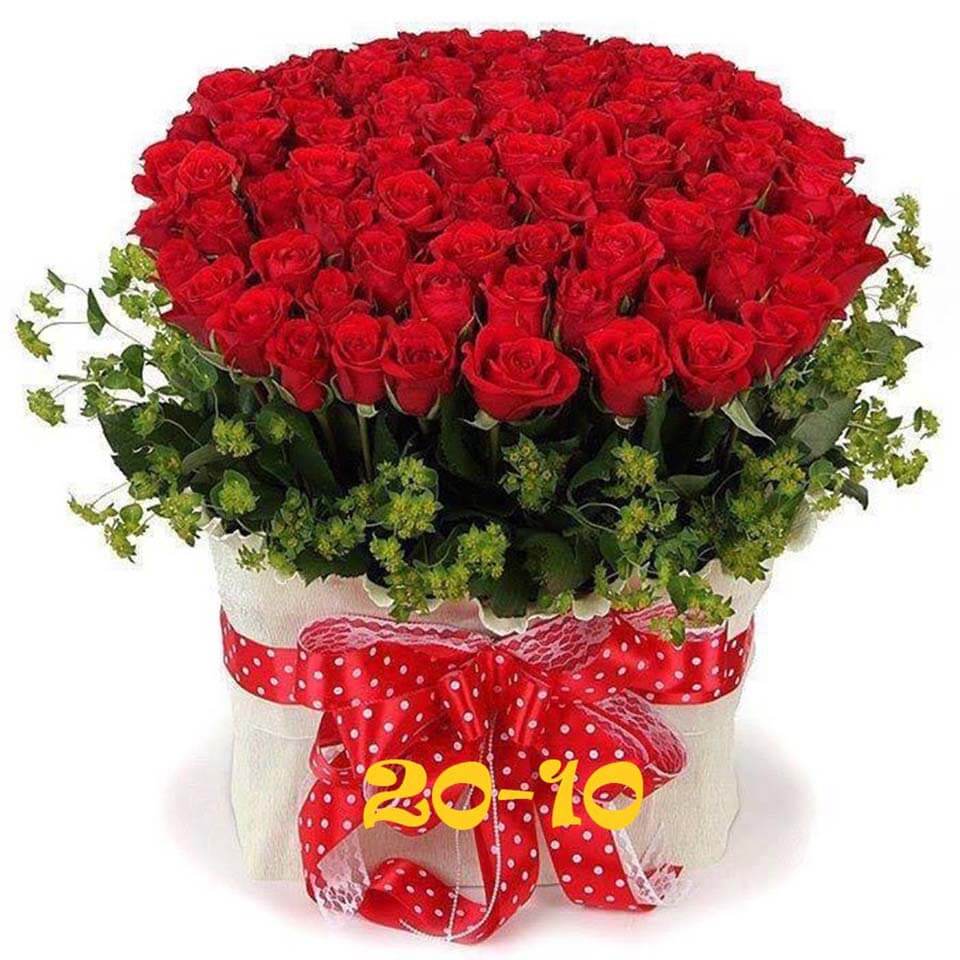 hình ảnh hoa hồng đẹp tặng 20 10 lãng mạn (5)