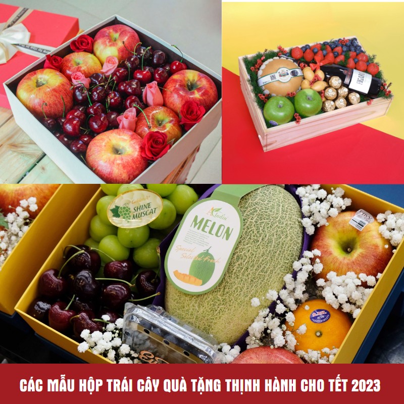 Các mẫu hộp trái cây quà tặng thịnh hành cho tết 2023